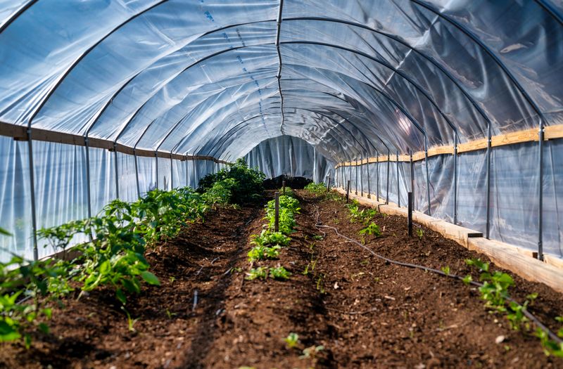 Agricultural Sector